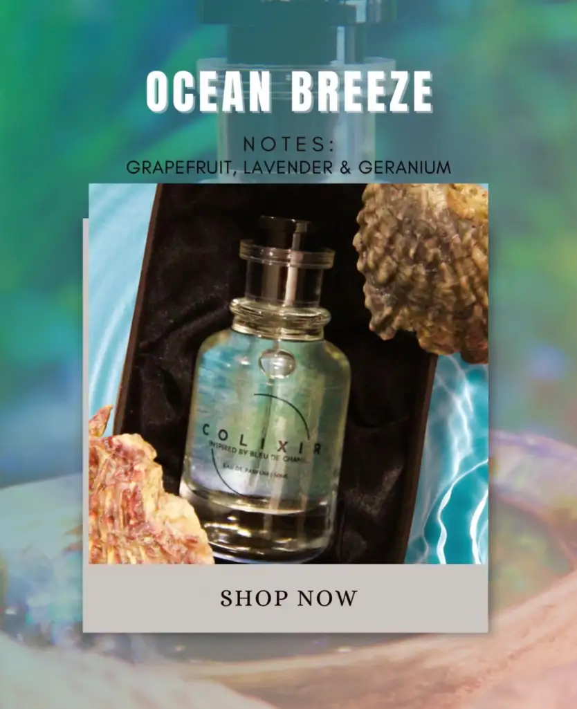 Ocean Breeze – Impression of Bleu de Chanel | Long Lasting Fresh Woody Perfume for Men