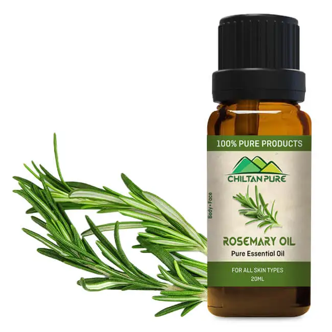 Rosemary Essential Oil – Best Antiseptic Skin Tonic