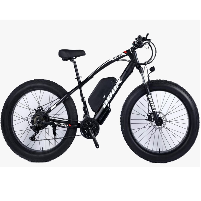 Elixs Marathon Electric Bicycle With Official Warranty