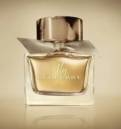 MY BURBERRY