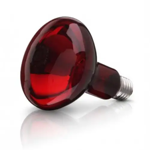Beurer 614.51 Spare Bulb For Infrared Lamp With 100 watt
