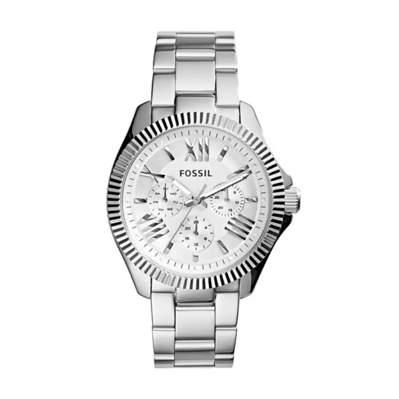 Fossil Cecile Silver Stainless Steel Silver Dial Watch For Ladies - AM4568